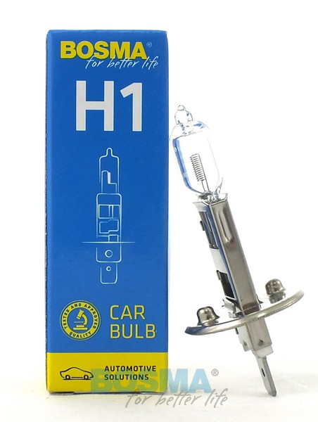 ZAR.12 [V] 100 [W] H1 P14.5S Bosma