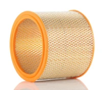 FILTR POWIETRZA WA20600 BIZON